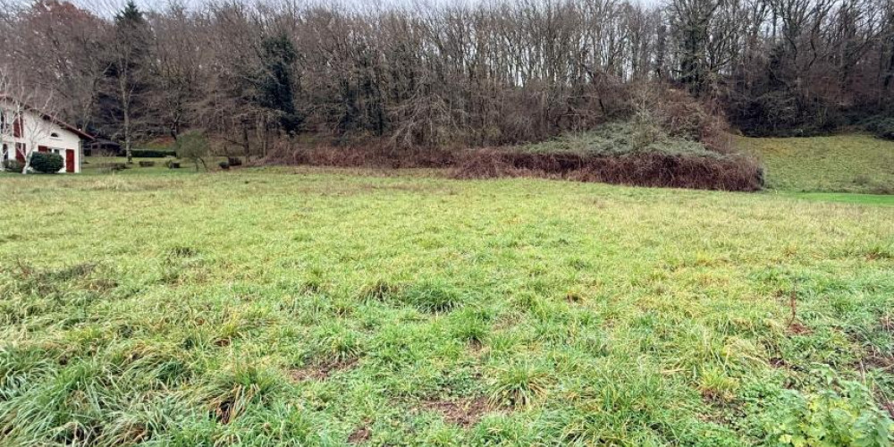 terrain à AIRE SUR L ADOUR (40800)